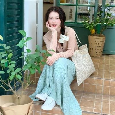 海豚伯尼2